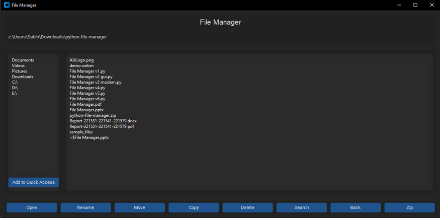 Python File Manager Interface